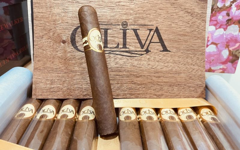 Xì Gà Oliva Double Toro